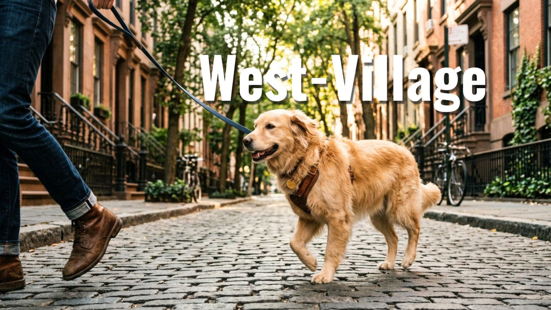 Dog walking on cobblestone streets in New York City's West Village neighborhood