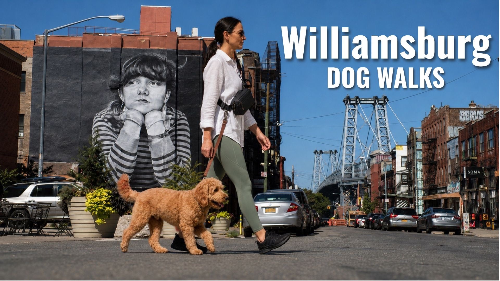 Williamsburg Brooklyn Dog Walking Guide 2026: Best Routes, Parks & Pet-Friendly Cafes