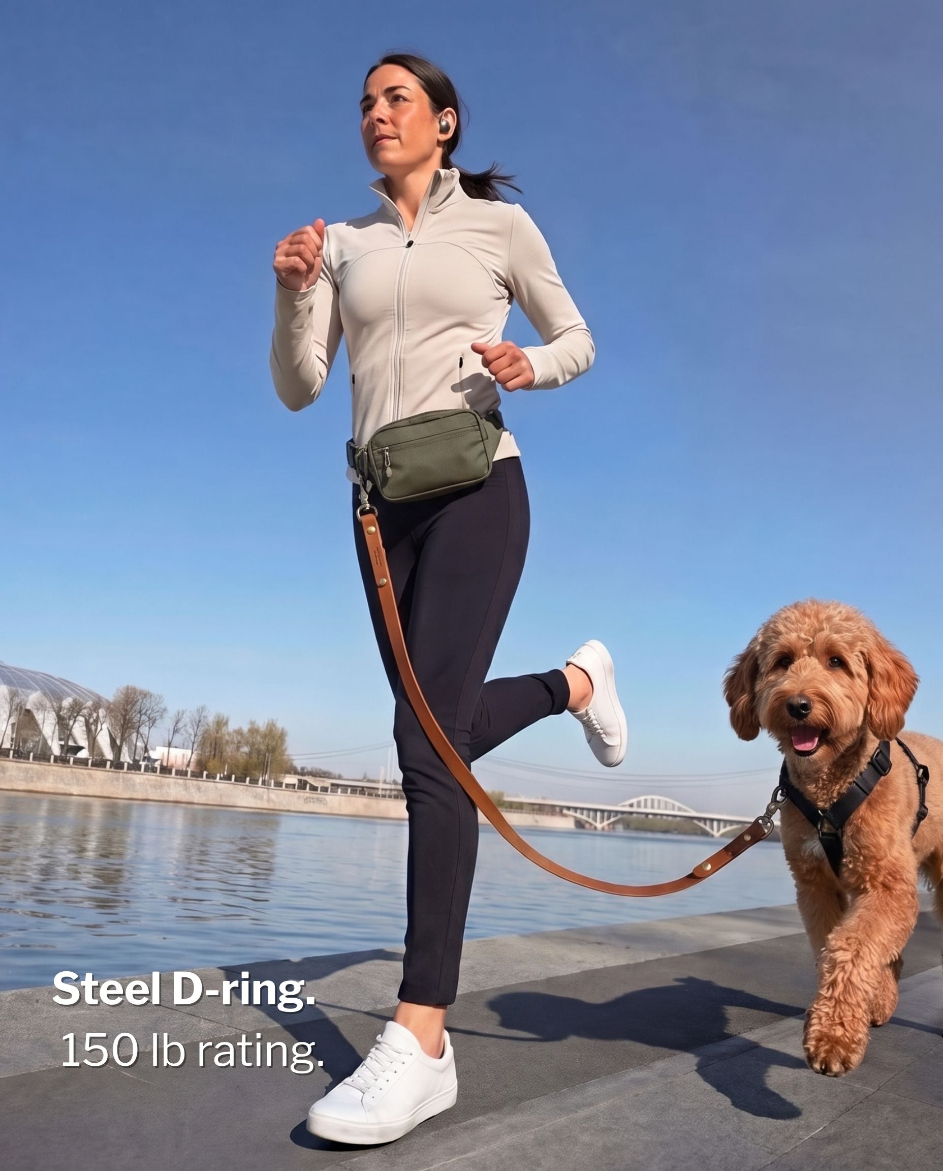 SUSU Grab & Go Dog Walking Bag