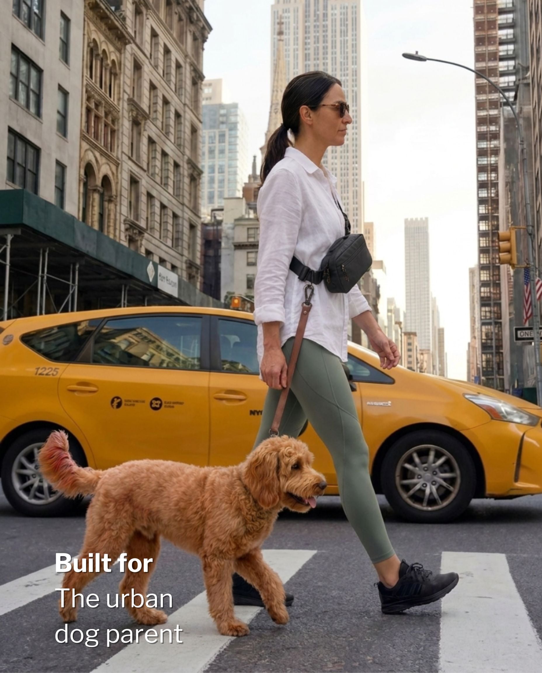 SUSU Grab & Go Dog Walking Bag