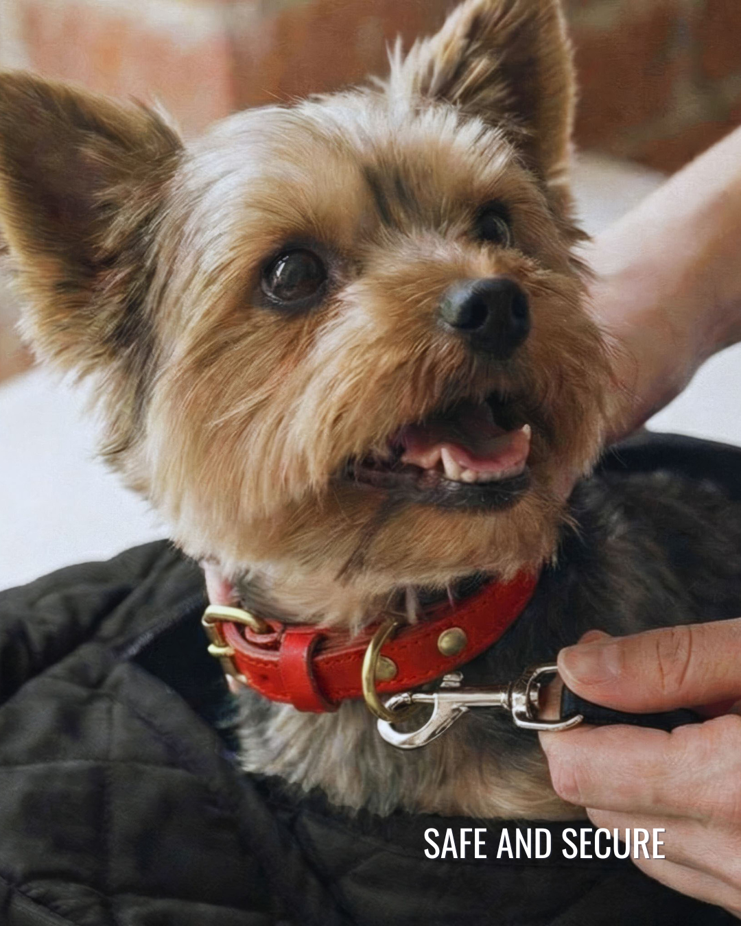 Small Dog Carrier Sling for Toy Dogs 3-8 lb