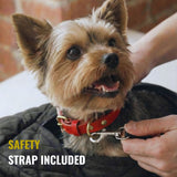 Small dog with red collar secured by safety strap in pet carrier sling indoors
