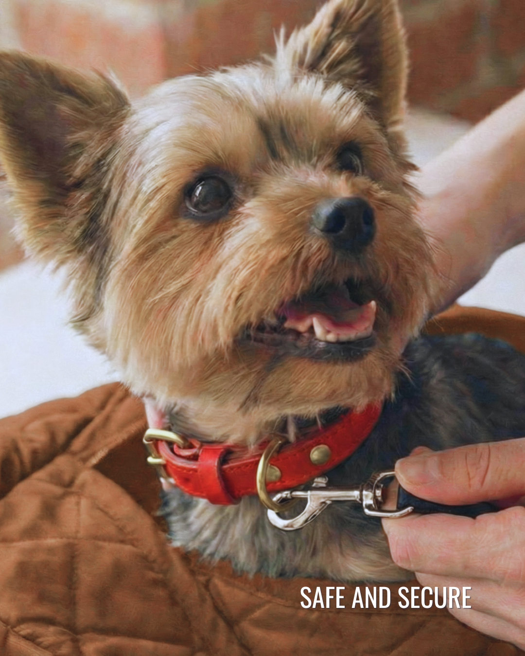 Small Dog Carrier Sling for Toy Dogs 3-8 lb