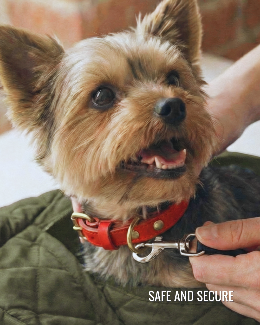 Small Dog Carrier Sling for Toy Dogs 3-8 lb