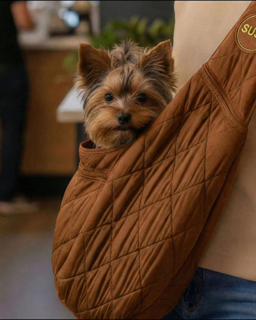 Small Dog Carrier Sling for Toy Dogs 3-8 lb