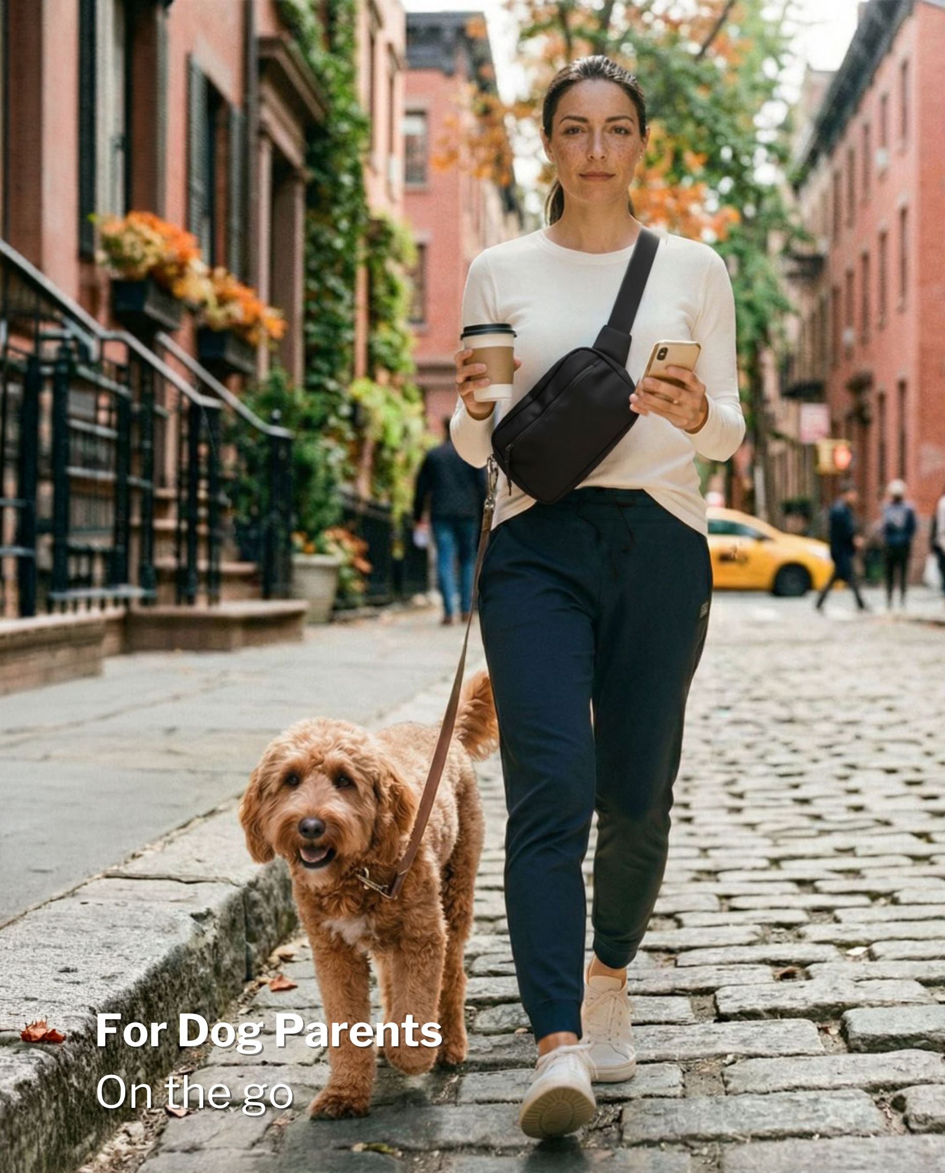 SUSU Grab & Go Dog Walking Bag
