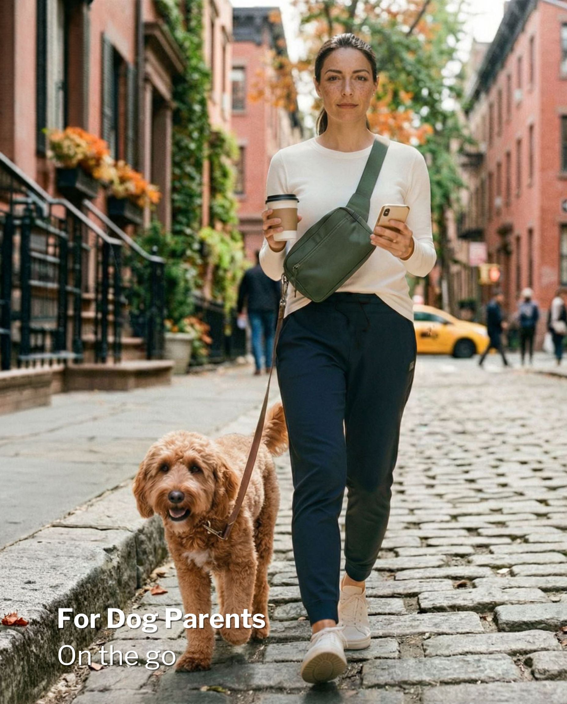 SUSU Grab & Go Dog Walking Bag