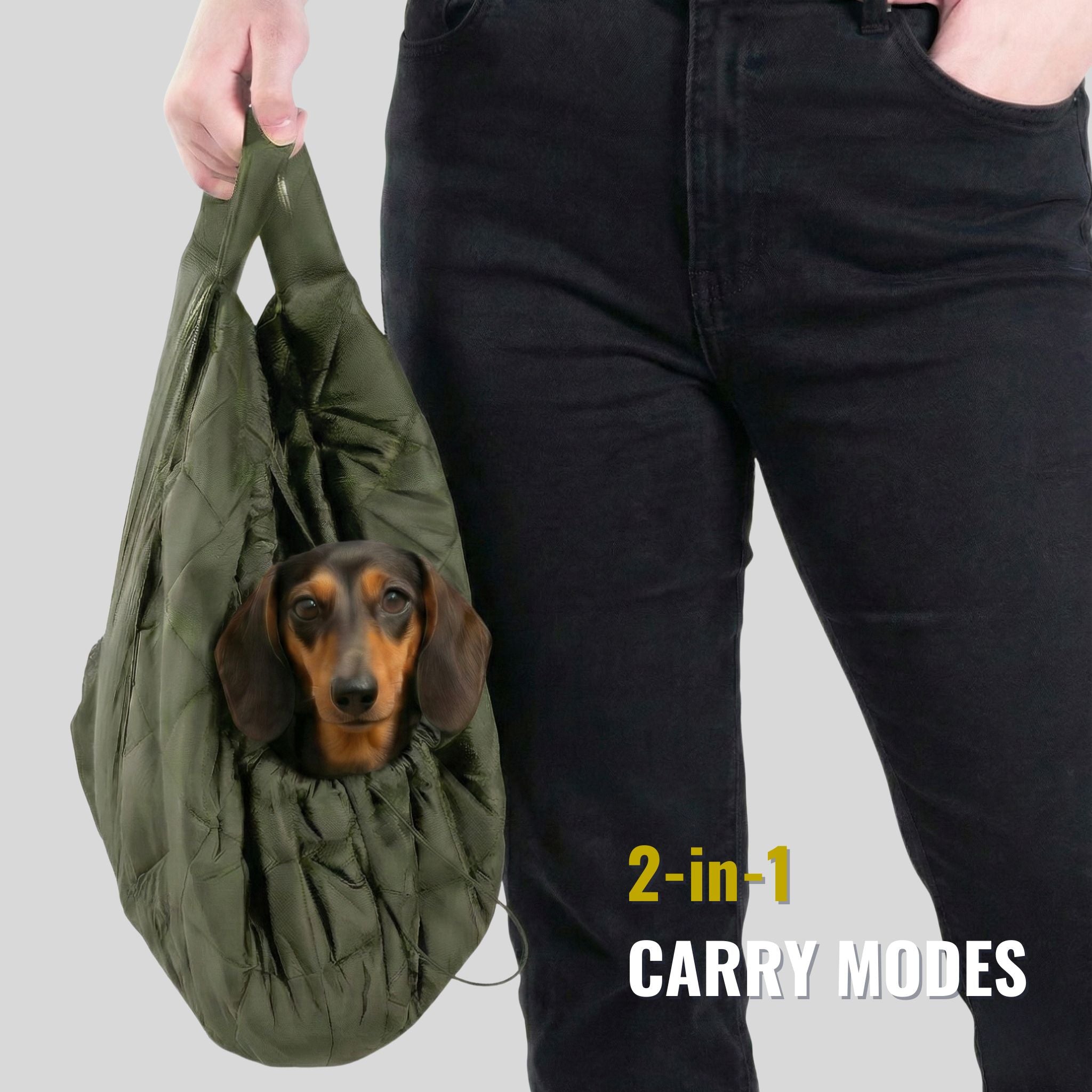 Small dog in green 2-in-1 pet carrier sling bag, person standing beside, text reads 2-in-1 carry modes